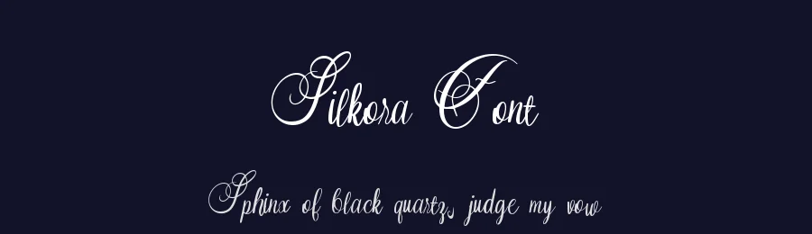Silkora Font by Dmletter studio — Script Handwritten Font — thumbnail 2