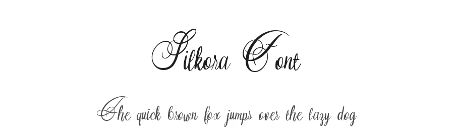 Silkora Font by Dmletter studio — Script Handwritten Font
