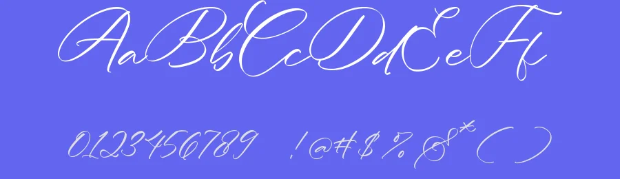 Silky Crystal – Elegant Handwritten Script Font by letterenastudios — Serif Font — thumbnail 3