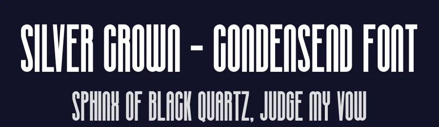 Silver Crown – Condensend Font by ari — Display Font — thumbnail 2