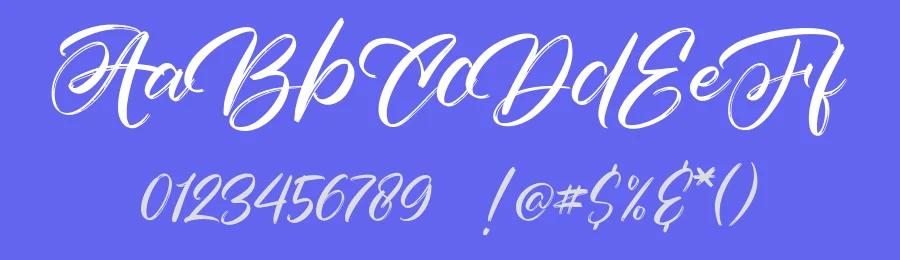 Silver Flower Brush Font by Type Factory — Script Handwritten Font — thumbnail 3