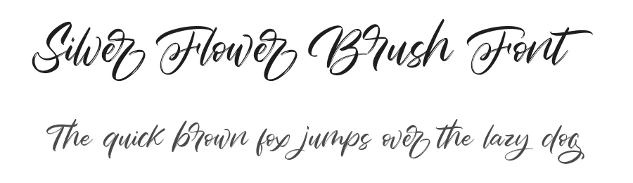 Silver Flower Brush Font by Type Factory — Script Handwritten Font