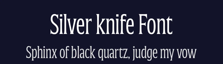 Silver knife Font by Blast Foundry — Sans Serif Font — thumbnail 2