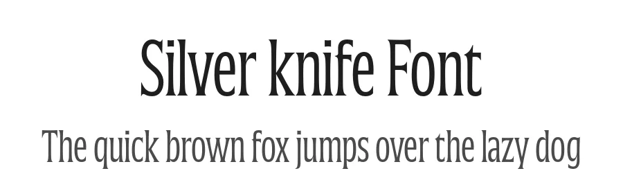 Silver knife Font by Blast Foundry — Sans Serif Font
