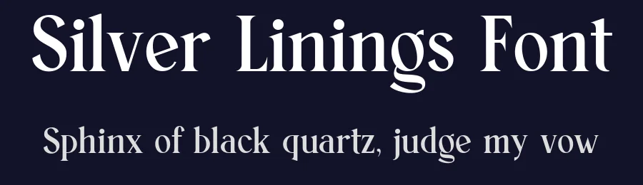 Silver Linings Font by ClevUs — Serif Font — thumbnail 2