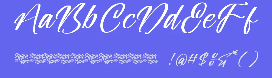Silver Willow – Natural Signature Font by stylishtype.co — Script Handwritten Font — thumbnail 3