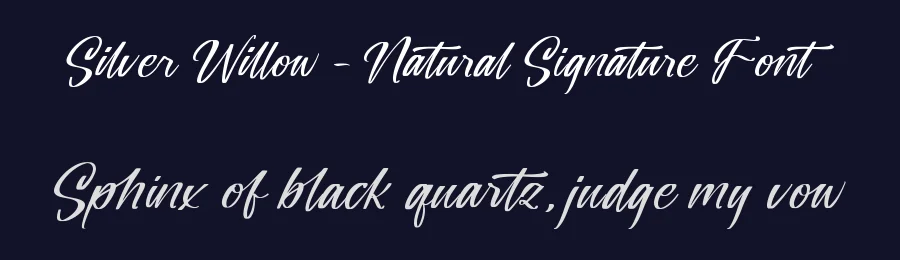 Silver Willow – Natural Signature Font by stylishtype.co — Script Handwritten Font — thumbnail 2