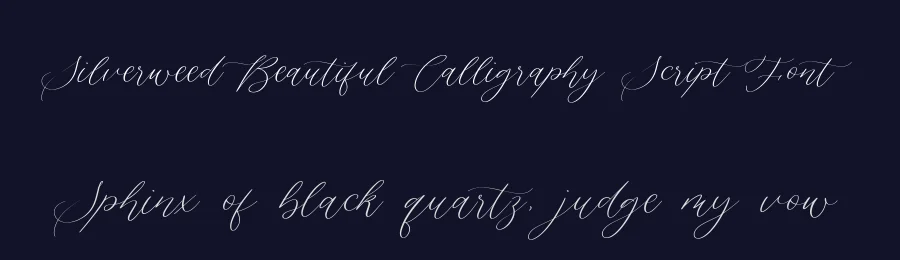 Silverweed Beautiful Calligraphy Script Font by balpirick — Script Handwritten Font — thumbnail 2