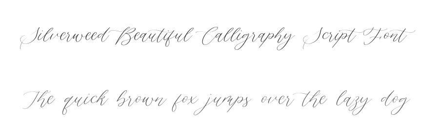 Silverweed Beautiful Calligraphy Script Font by balpirick — Script Handwritten Font