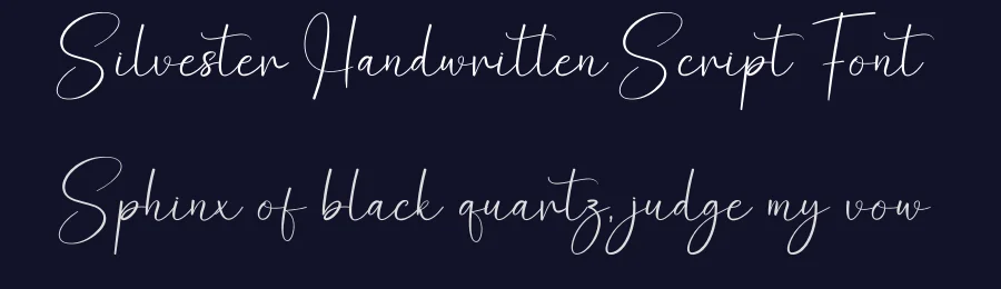 Silvester Handwritten Script Font by creativeletter — Script Handwritten Font — thumbnail 2