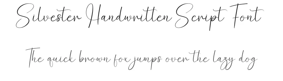 Silvester Handwritten Script Font by creativeletter — Script Handwritten Font