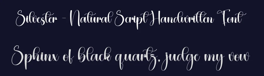 Silvester – Natural Script Handwritten Font by creativeletter — Script Handwritten Font — thumbnail 2