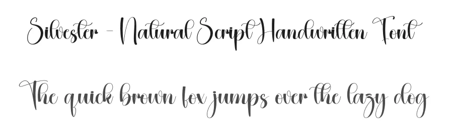 Silvester – Natural Script Handwritten Font by creativeletter — Script Handwritten Font