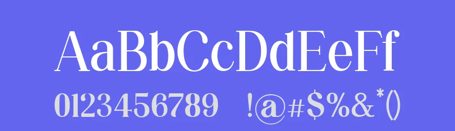 Silvex Editorial Font Family by UICreative — Serif Font — thumbnail 3