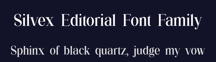 Silvex Editorial Font Family by UICreative — Serif Font — thumbnail 2