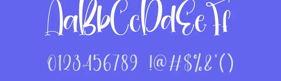 Simple Birthday Modern Script Font by creativeletter — Script Handwritten Font — thumbnail 3