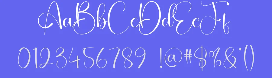 Simple Calligraphy Font by creativeletter — Script Handwritten Font — thumbnail 3