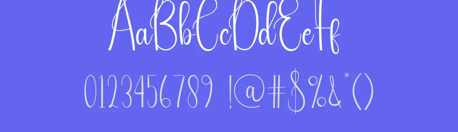 Simple Farmhouse Script Font by andikastudio — Script Handwritten Font — thumbnail 3