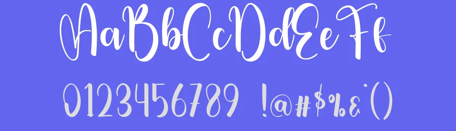 Simple Ornament Script Font by creativeletter — Script Handwritten Font — thumbnail 3