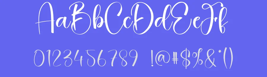 Simple Outline Script Font by creativeletter — Script Handwritten Font — thumbnail 3