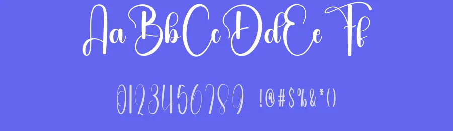 Simple Paradise Script Font by freshtypeink — Script Handwritten Font — thumbnail 3