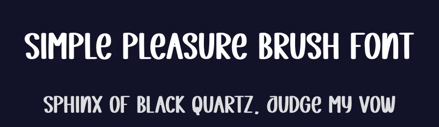Simple Pleasure Brush Font by creativeletter — Script Handwritten Font — thumbnail 2