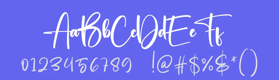Simple Signature Script Font by creativeletter — Script Handwritten Font — thumbnail 3