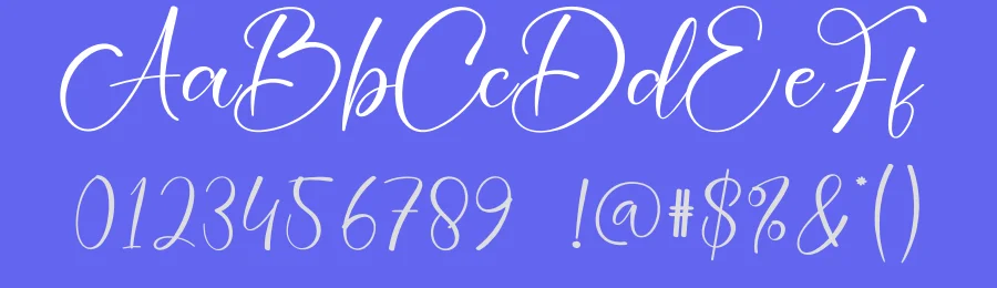Simple Signature Script Font by creativeletter — Script Handwritten Font — thumbnail 3