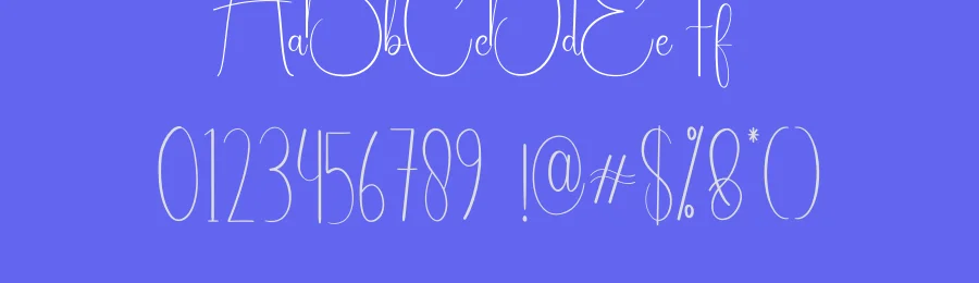 Simple Signature Script Font by andikastudio — Script Handwritten Font — thumbnail 3