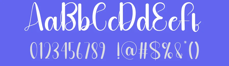 Simple Summer Script Typeface by andikastudio — Script Handwritten Font — thumbnail 3