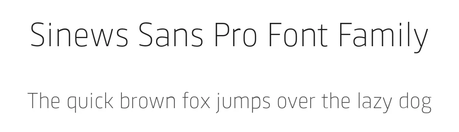 Sinews Sans Pro Font Family by TypeMates — Sans Serif Font