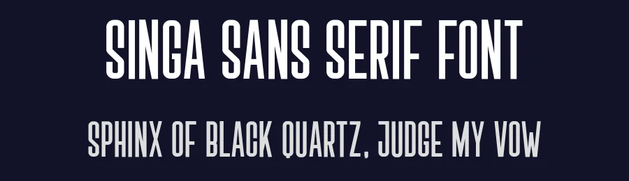Singa Sans Serif Font by Linecreative — Sans Serif Font — thumbnail 2