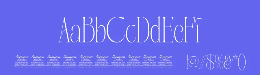 Sinvia Font by saemoon creative — Serif Font — thumbnail 3