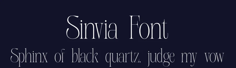 Sinvia Font by saemoon creative — Serif Font — thumbnail 2