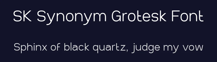 SK Synonym Grotesk Font by Shriftovik Type Foundry — Sans Serif Font — thumbnail 2