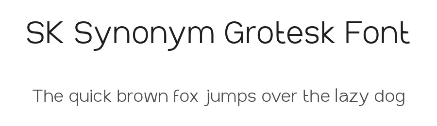 SK Synonym Grotesk Font by Shriftovik Type Foundry β Sans Serif Font
