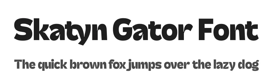 Skatyn Gator Font by timelesstype.co — Display Font
