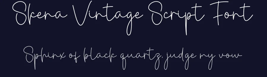Skena Vintage Script Font by creativeletter — Script Handwritten Font — thumbnail 2