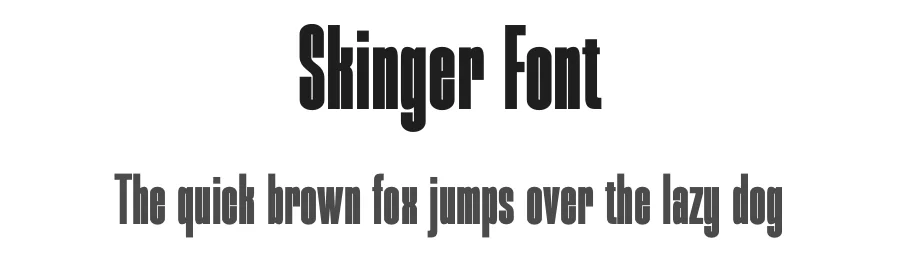 Skinger Font by TypeLogue — Sans Serif Font