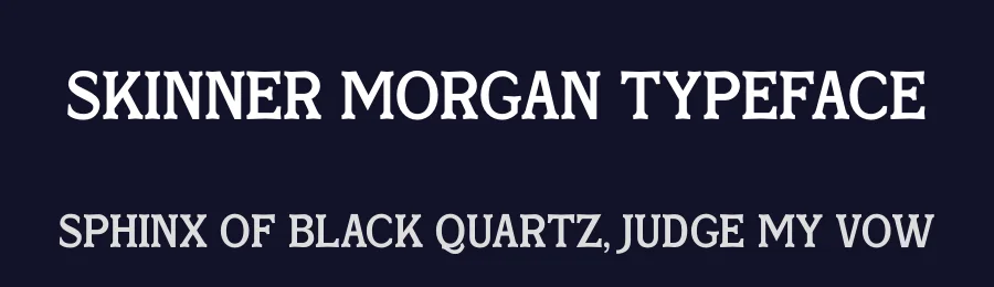 Skinner Morgan Typeface by Storytype — Serif Font — thumbnail 2