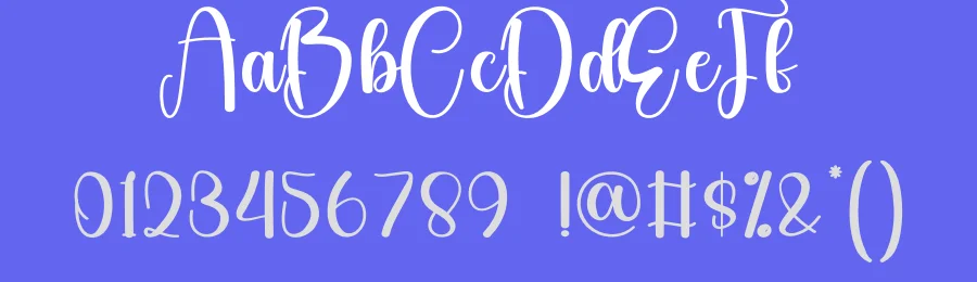 Skinny Calligraphy Script Font by creativeletter — Script Handwritten Font — thumbnail 3