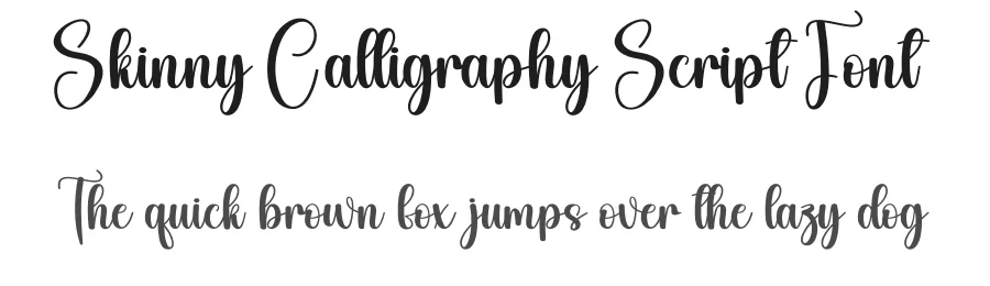 Skinny Calligraphy Script Font by creativeletter — Script Handwritten Font