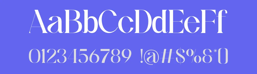 Skinova Font by Funtype — Serif Font — thumbnail 3
