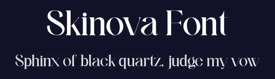 Skinova Font by Funtype — Serif Font — thumbnail 2