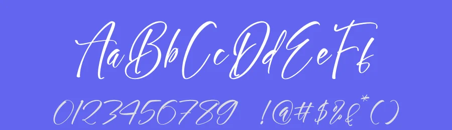 Skyerting Handwritten Font by stylishtype.co — Script Handwritten Font — thumbnail 3