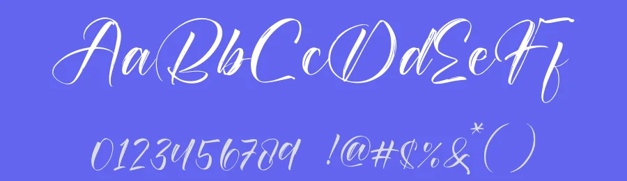 Skylaga Font by letterfabric — Script Handwritten Font — thumbnail 3