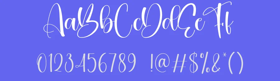 Skylight – Elegant Handwritten Font by creativeletter — Script Handwritten Font — thumbnail 3