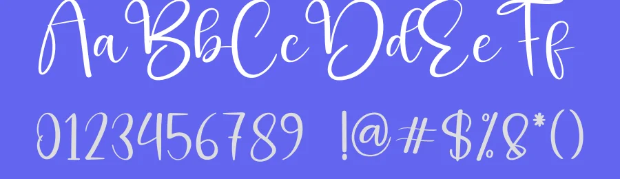 Skynight Calligraphy Font by creativeletter — Script Handwritten Font — thumbnail 3