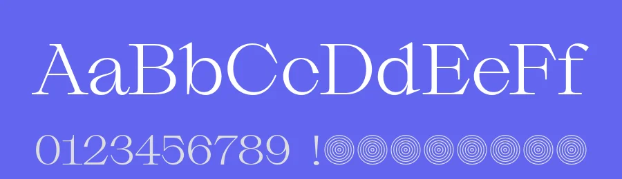Slack Light Font by Due Studio — Serif Font — thumbnail 3