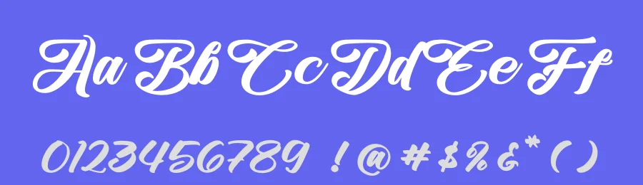 Slangtury Bohemis Font by Operatype.Co — Serif Font — thumbnail 3